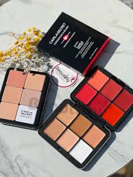 Carla Secret Concealer & Blush Professional Makeup