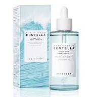 Skin 1004 Made with Pure Centella from Madagascar Hyalu-Cica First Ampoule 100 ML